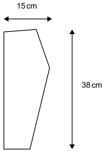 Exam diagram