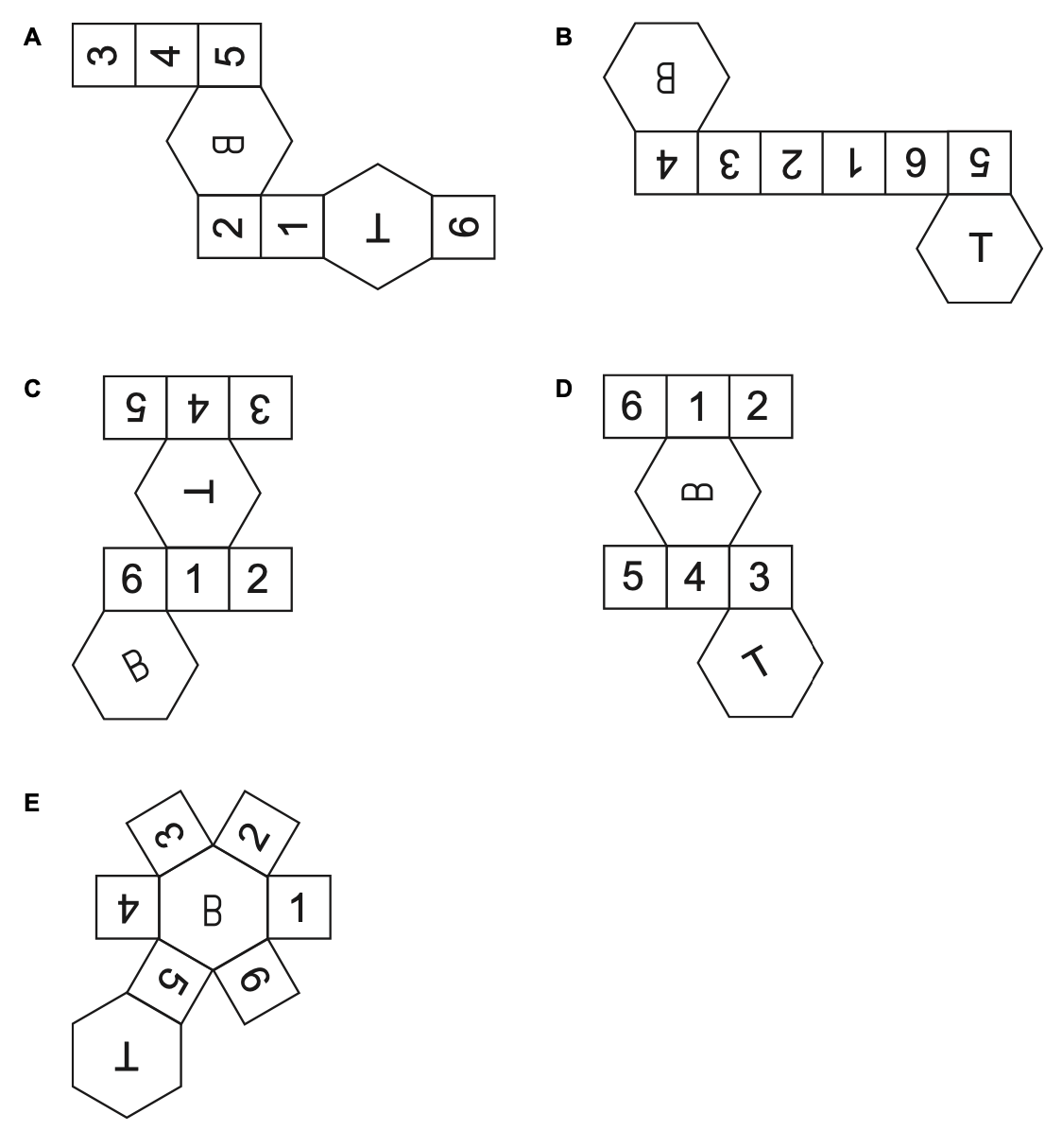 Exam diagram